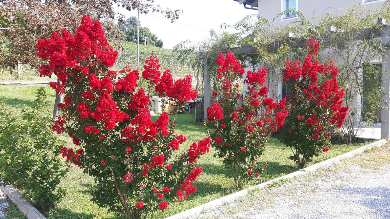 Casa Nalin Daire La Morra Dış mekan fotoğraf