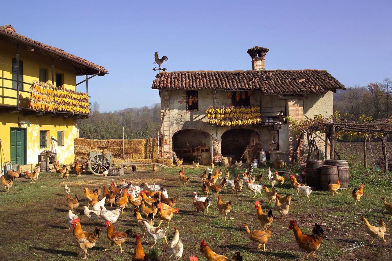 Casa Nalin Daire La Morra Dış mekan fotoğraf